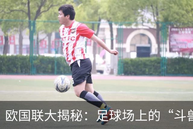 欧国联大揭秘：足球场上的“斗兽场”最新战况！